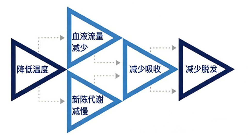 头皮冷冻的原理