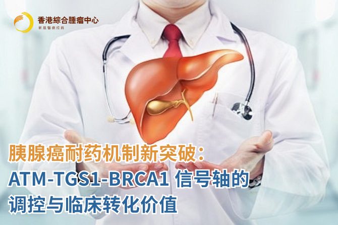 胰腺癌耐药机制新突破：ATM-TGS1-BRCA1信号轴的调控与临床转化价值